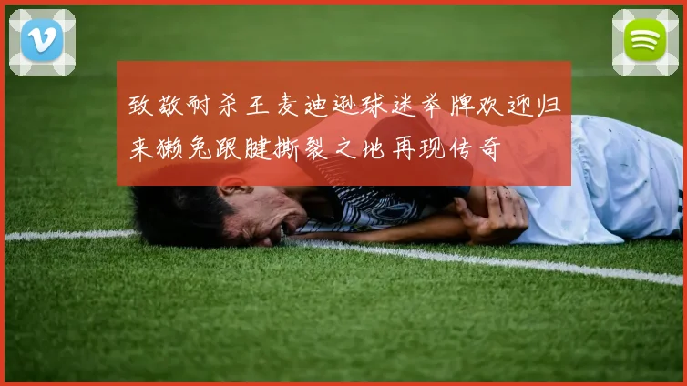 致敬耐杀王麦迪逊球迷举牌欢迎归来獭兔跟腱撕裂之地再现传奇